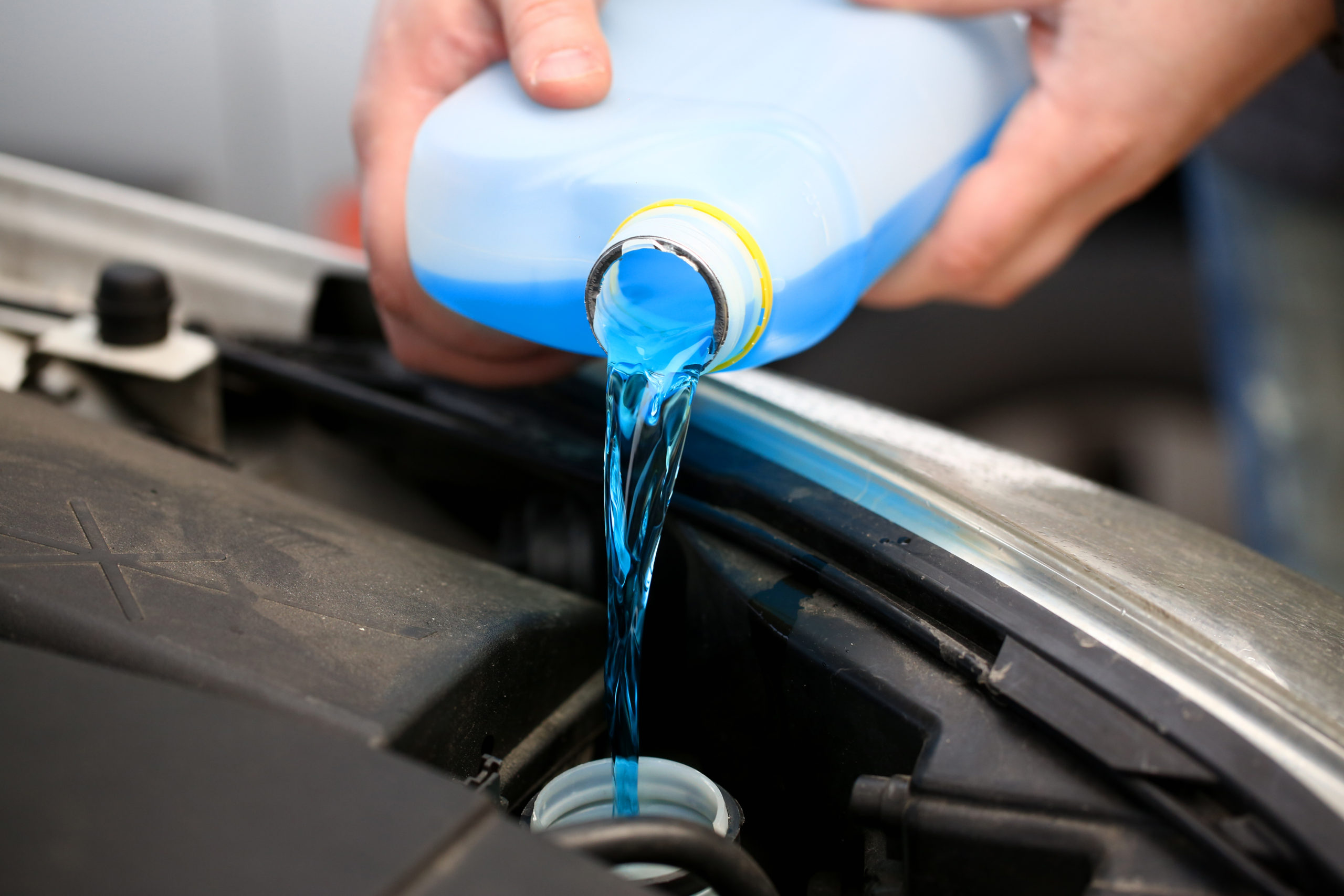 Male hands hold bottle of blue antifreeze in